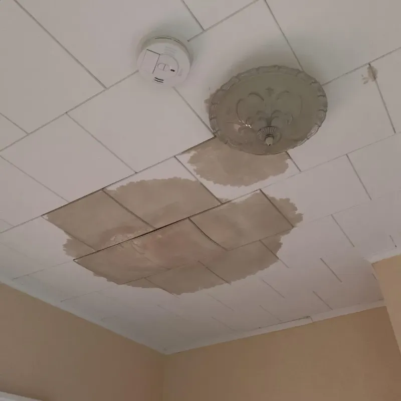 Ceiling Water Damage Repair in Audubon, NJ