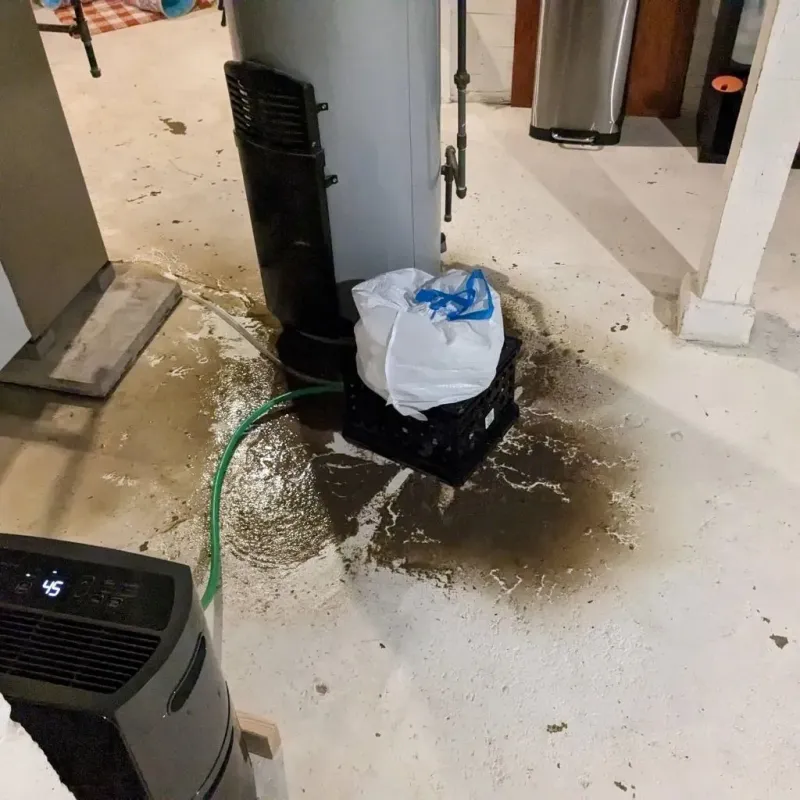 Sewage Backup Cleanup Service in Audubon, NJ